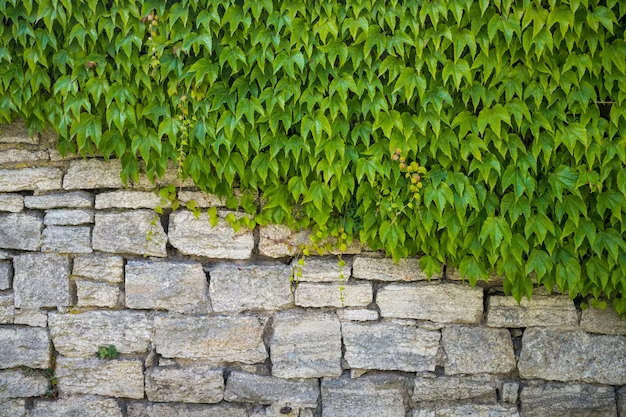 Green walls benefits