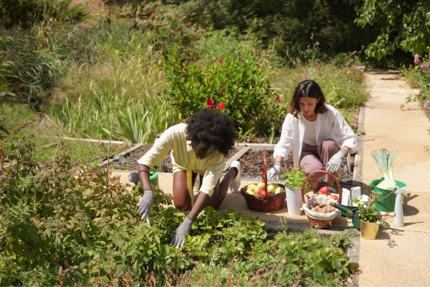Environmental Benefits of Community Gardens